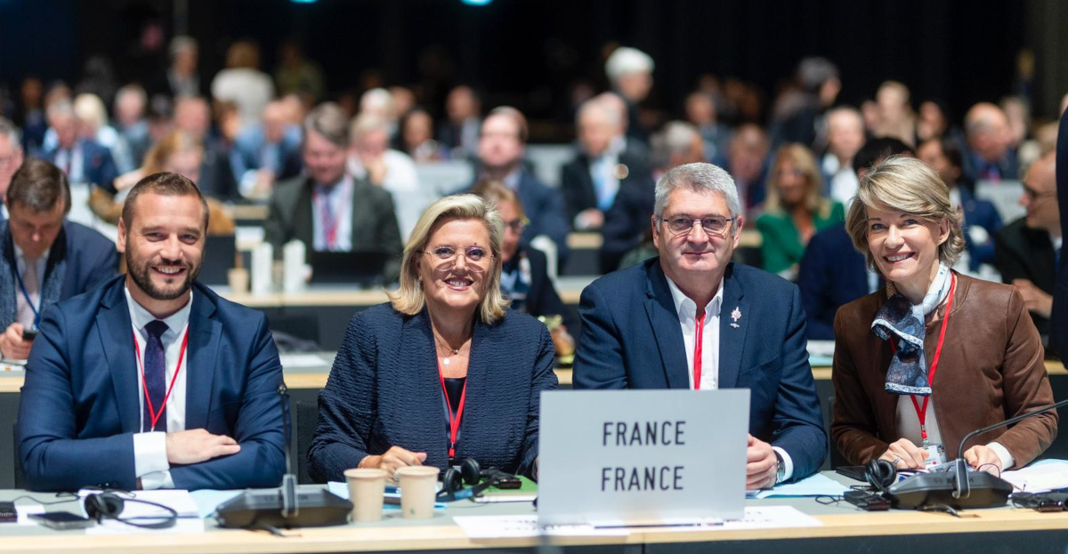 Sécurité et Défense au programme de la 69ème assemblée pleinière annuelle de l'OTAN à Copenhague