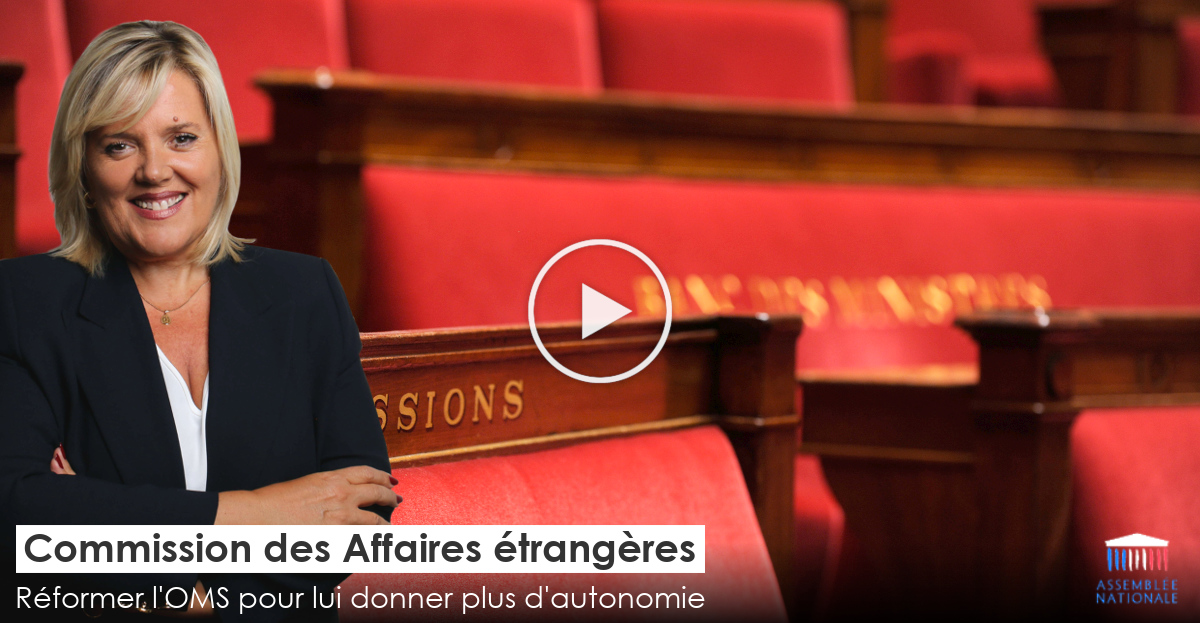 Visioconférence de la Com. des Affaires étrangères